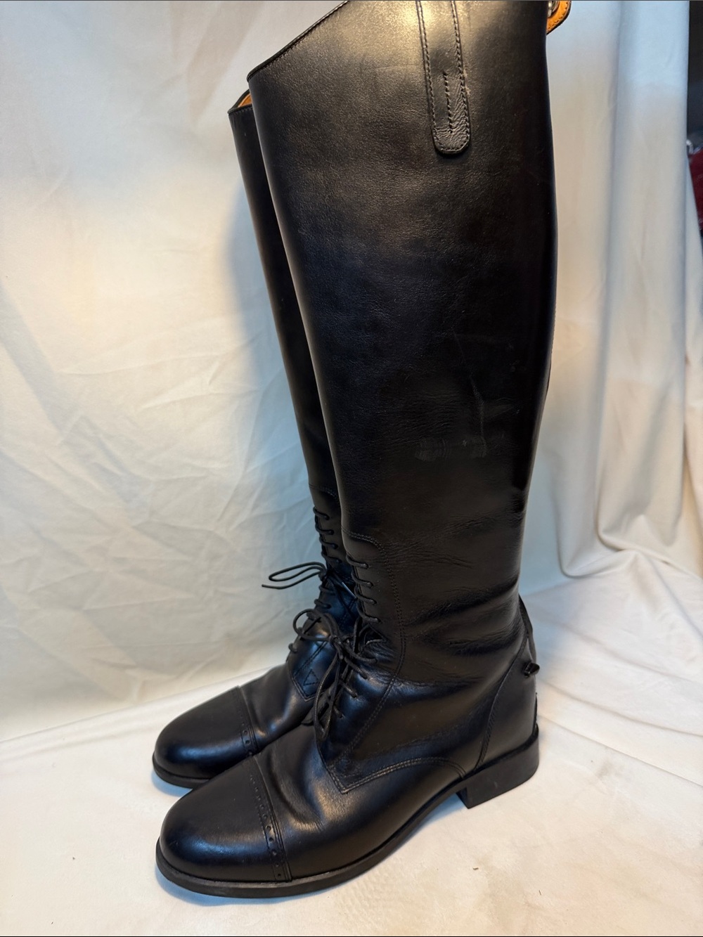 Ariat 55201 rising boot. new 8.5